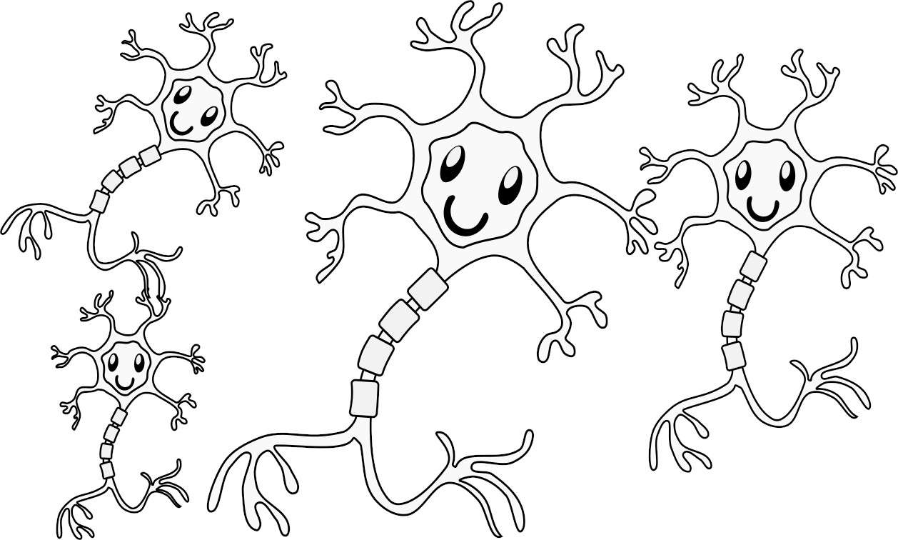 Neuronen Puzzlespiel online