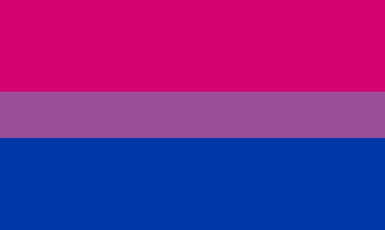 Bisexuell flagga pussel på nätet