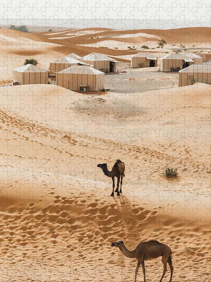in de woestijn legpuzzel online