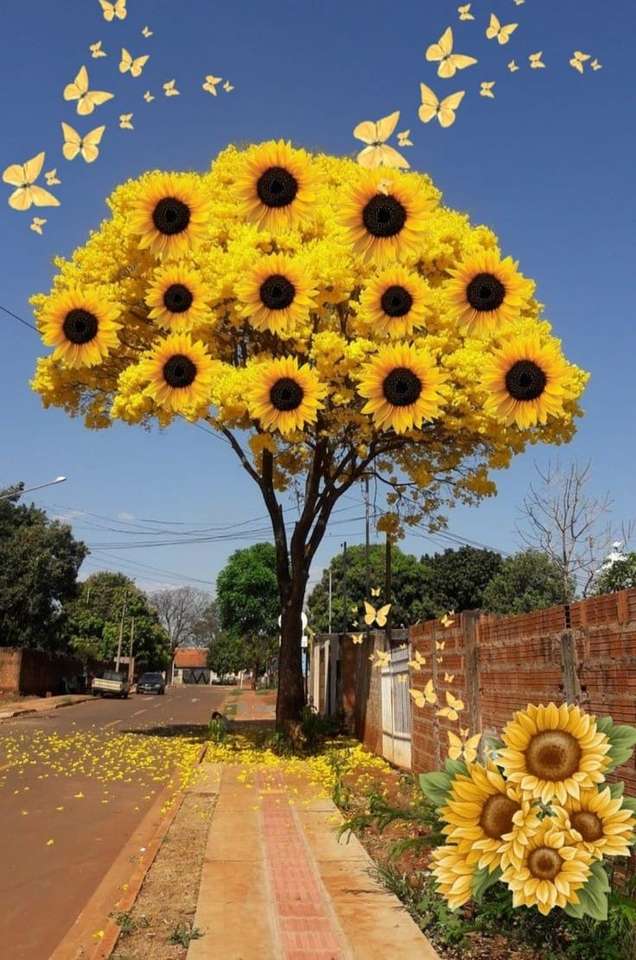 slunečnicový strom skládačky online
