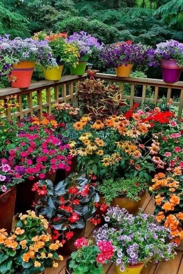 Красочный сад онлайн-пазл