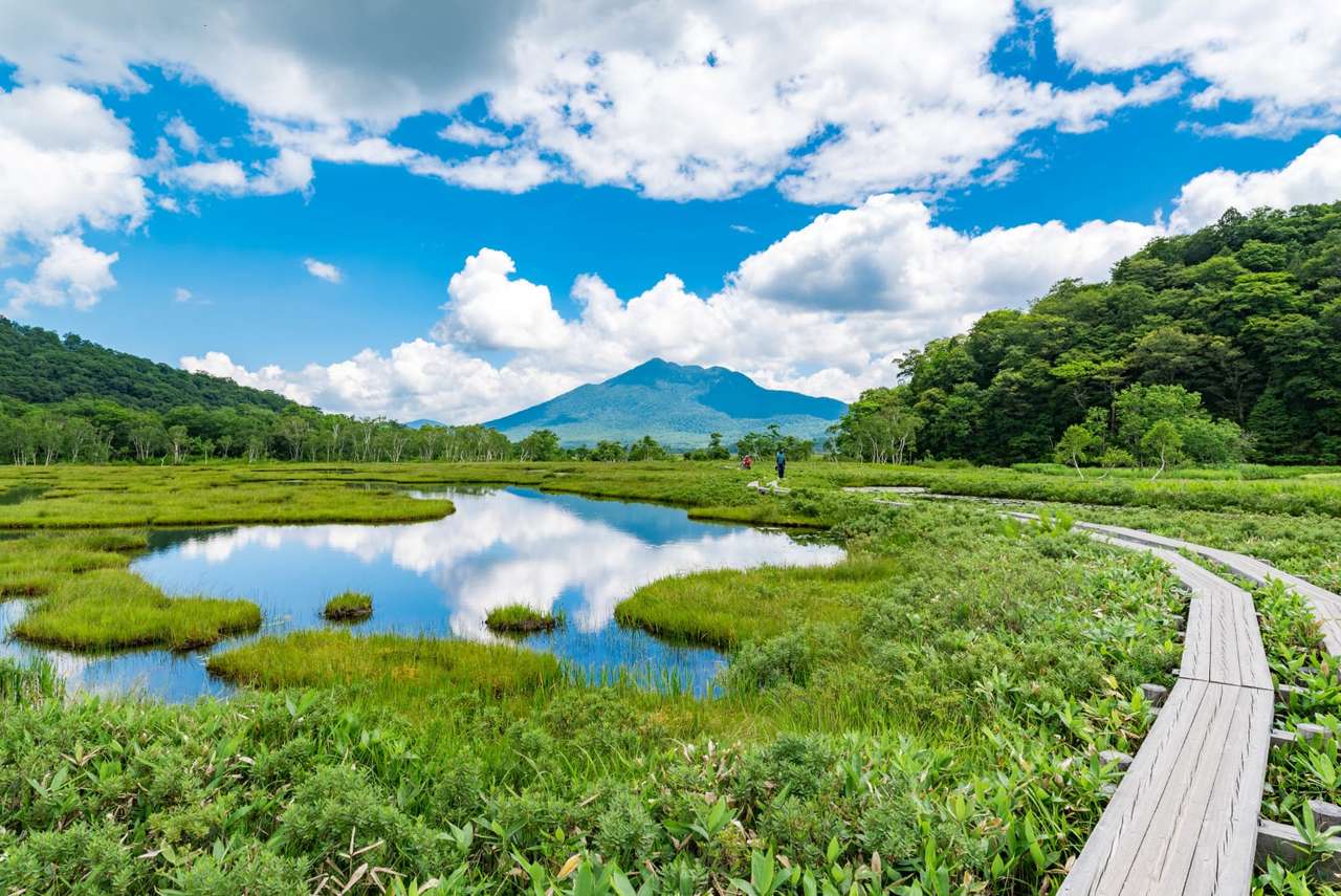 Parcul Național Oze Japonia jigsaw puzzle online