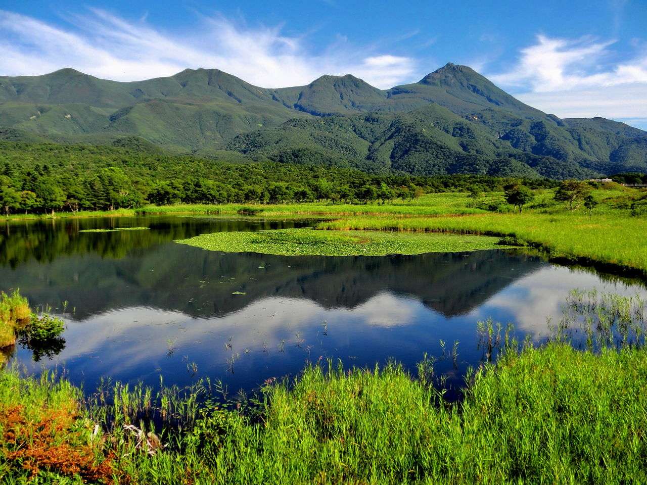 Oze nationalpark i Japan Pussel online
