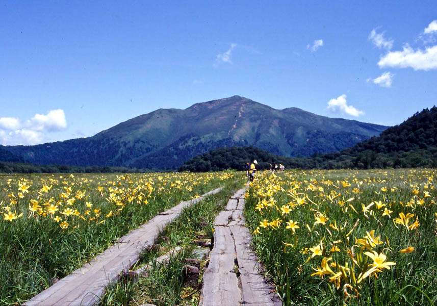Японський національний парк Одзе пазл онлайн