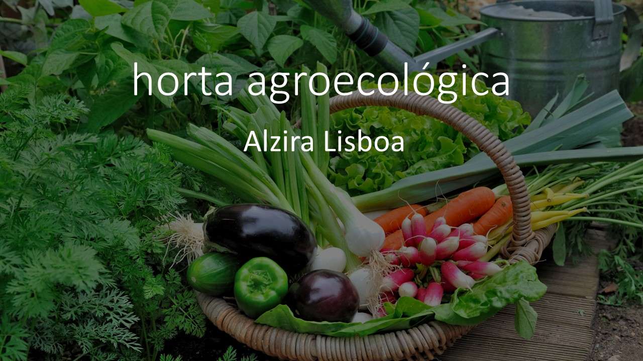 Ökologischer Gemüsegarten Puzzlespiel online