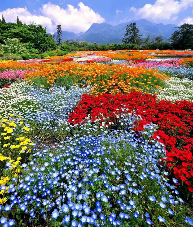 tapijt van bloemen legpuzzel online