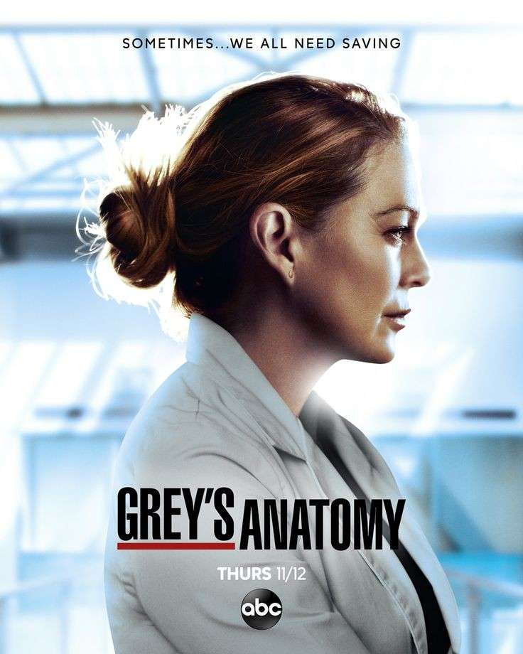 Grey's Anatomy rompecabezas en línea