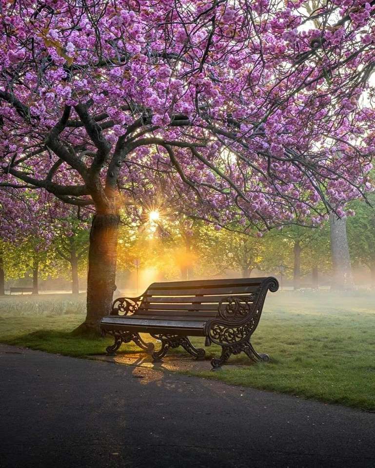 bench in the park online puzzle