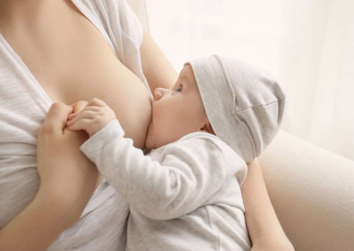 développement prénatal et lactation puzzle en ligne