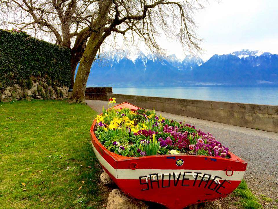 Barco como decoração para flores puzzle online