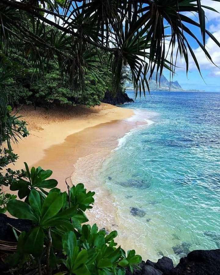 landskap från Hawaii Pussel online