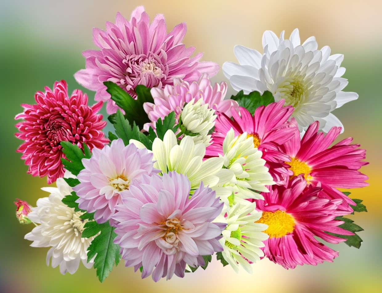 Μπουκέτο με λουλούδια κήπου παζλ online