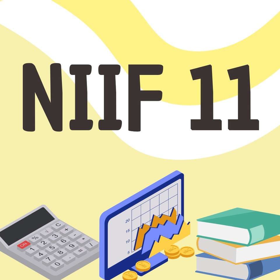 NIIF 11 CONJUNTOS rompecabezas en línea