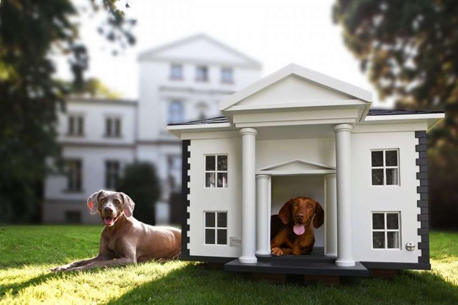 casinha de cachorro de luxo puzzle online