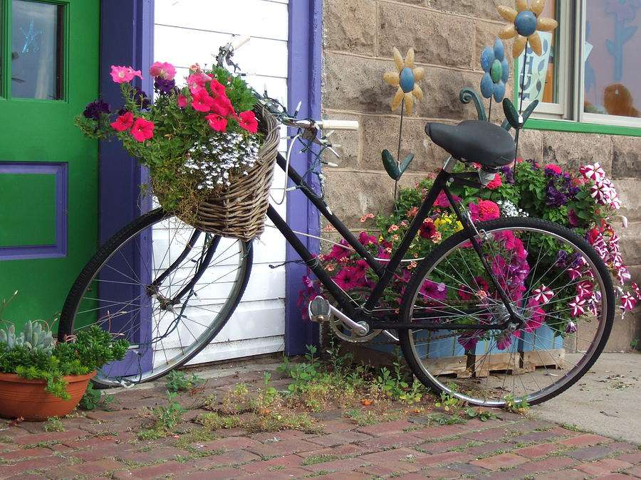 Bicicleta e flores quebra-cabeças online