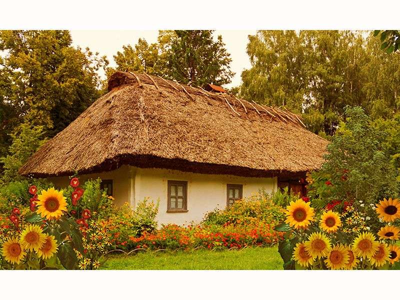 Een huisje tussen zonnebloemen - een prachtige tuin legpuzzel online