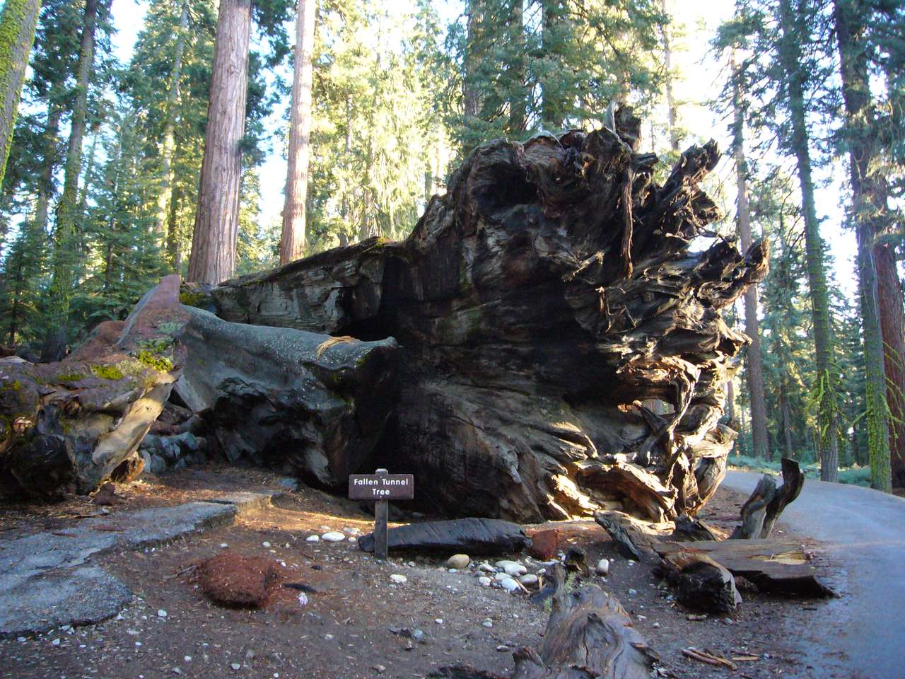 Sequoia Park online puzzle