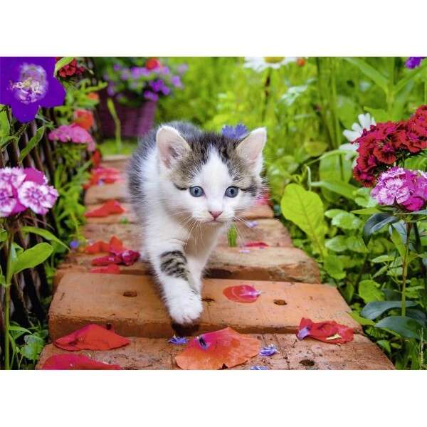 Gatito pasea por jardín #203 rompecabezas en línea