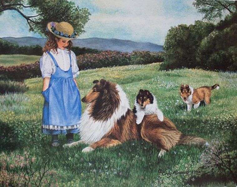 Collie puppies in the field #194 jigsaw puzzle online