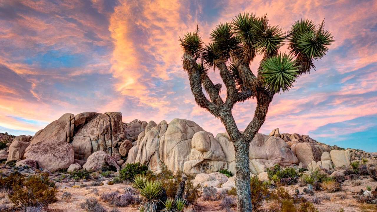 národní park v Kalifornii online puzzle