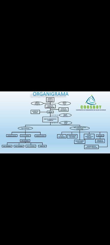 coosboy szervezeti diagram kirakós online