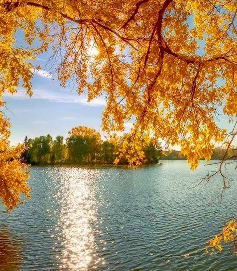 Золотая осень на озере онлайн-пазл