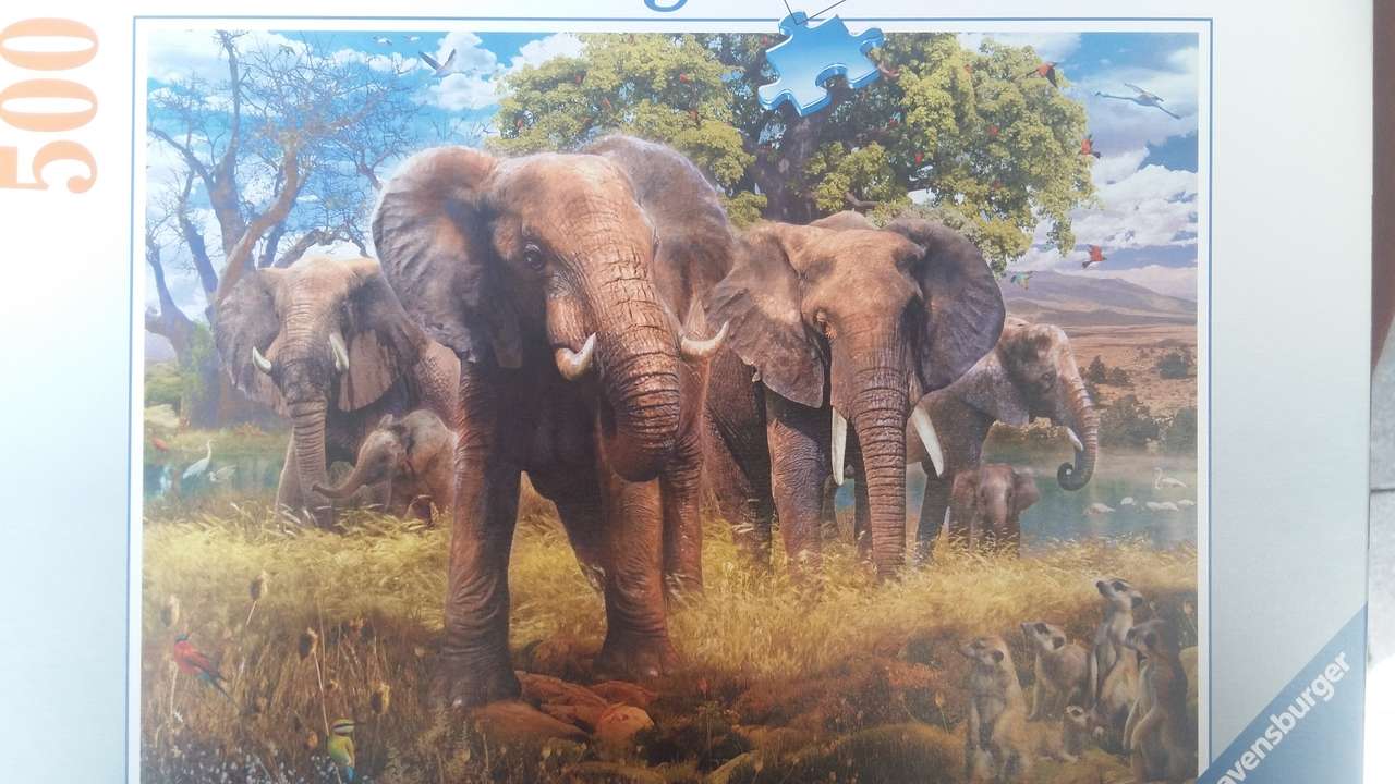 elephant family jigsaw puzzle online