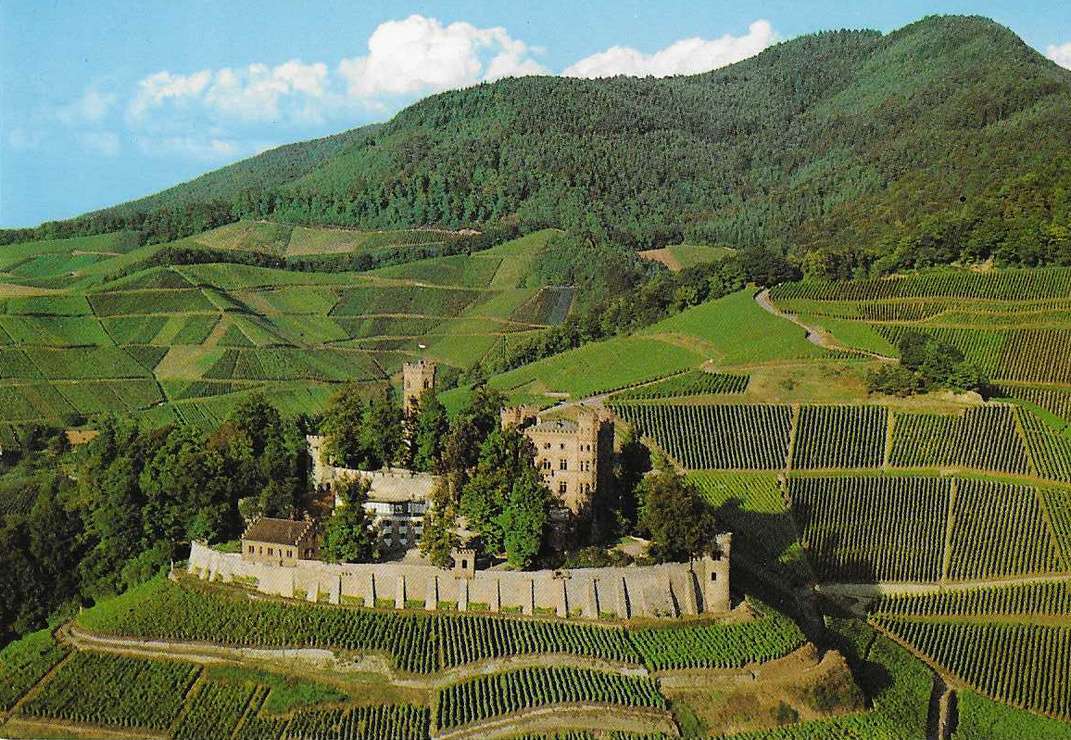 Château d'Ortenberg puzzle en ligne