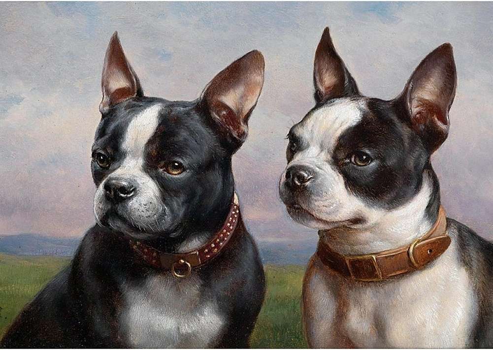 Två små hundar pussel på nätet