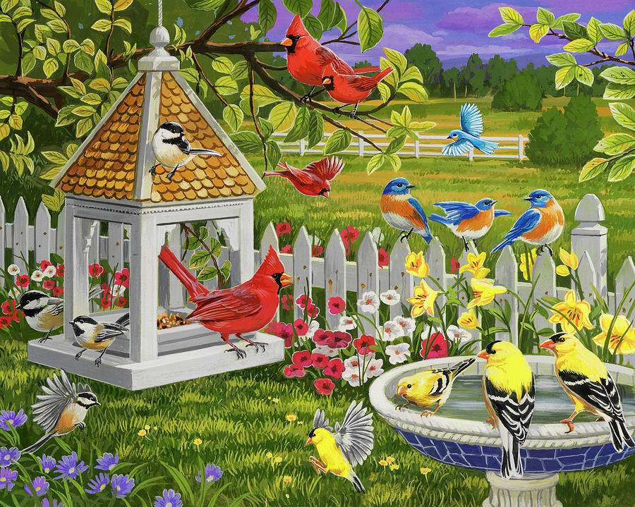 Păsări colorate jigsaw puzzle online