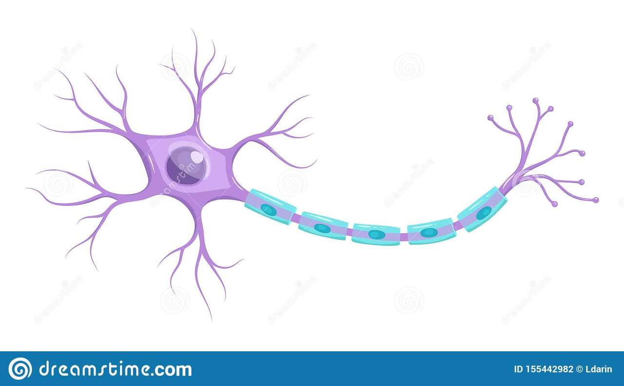 Neuron Pussel online