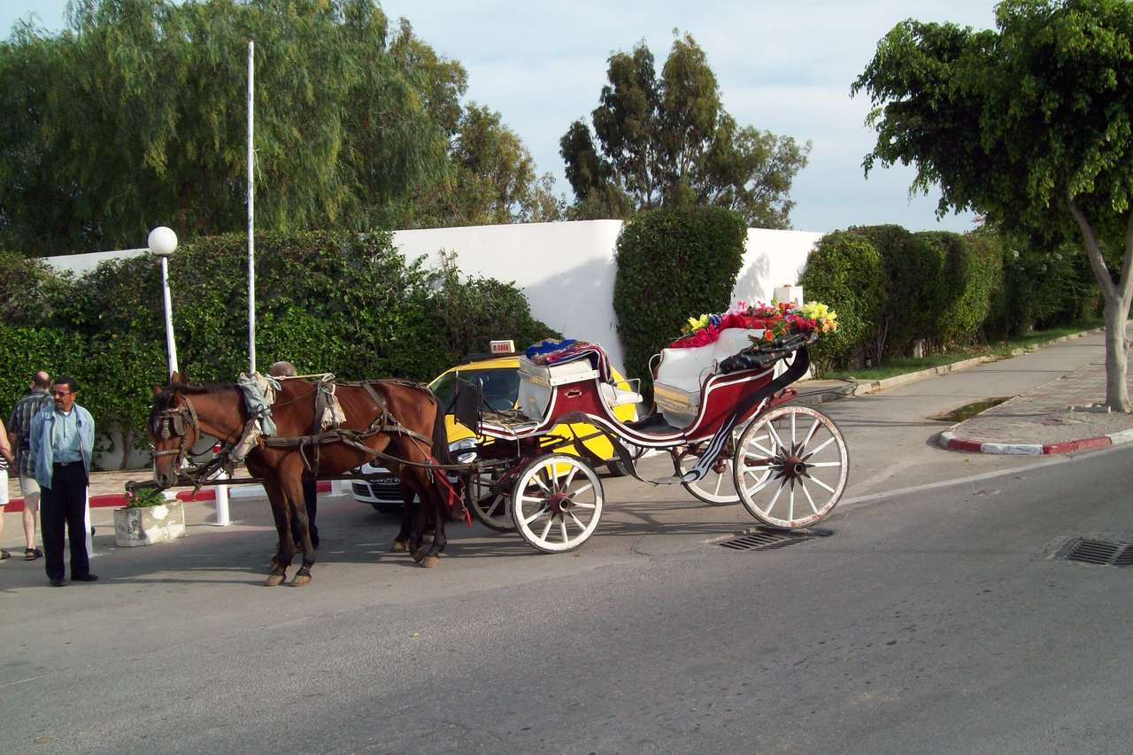 Taxi en carruaje tirado por caballos rompecabezas en línea