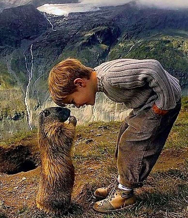 Boy with a marmot :) jigsaw puzzle online