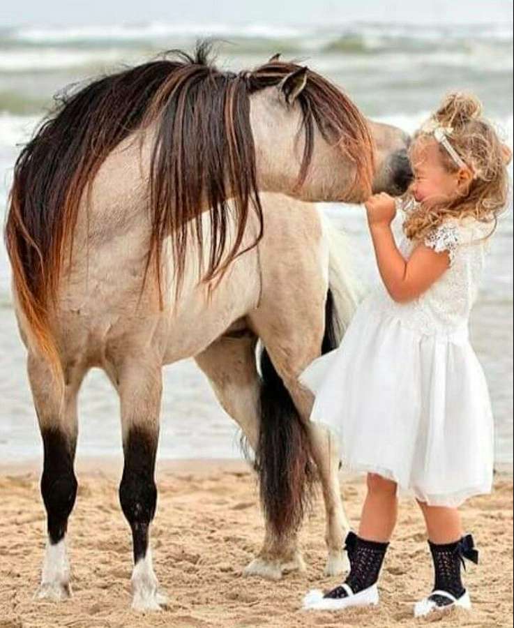 Een paard met een meisje: een prachtig gezicht online puzzel
