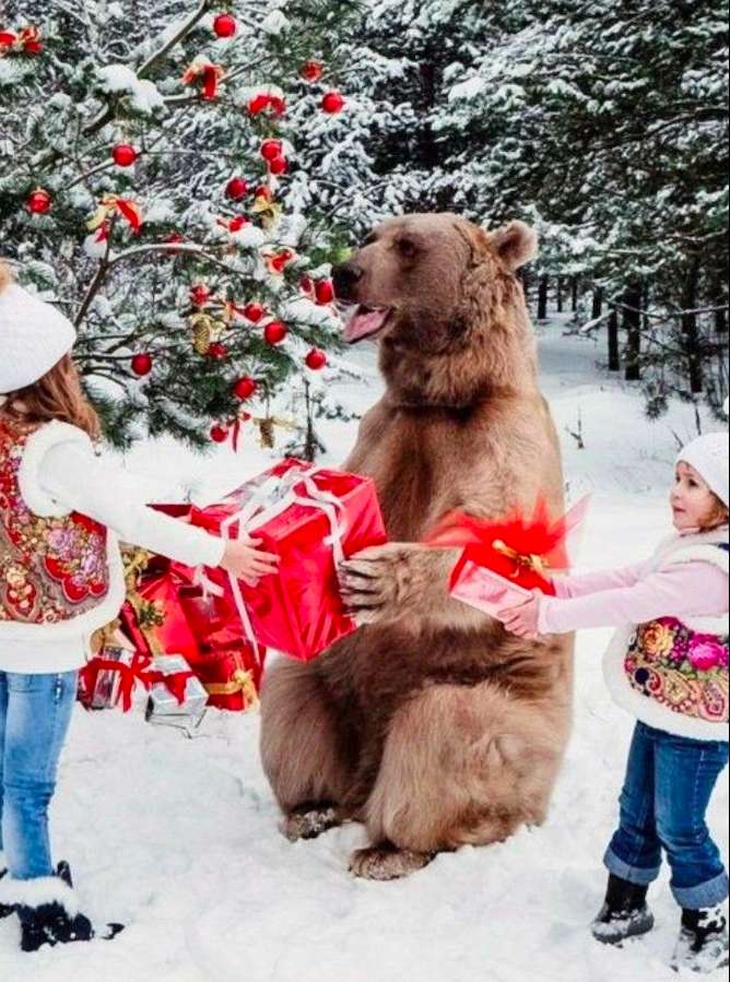 Vánoční dárky pro medvídky a zvířátka z lesa skládačky online