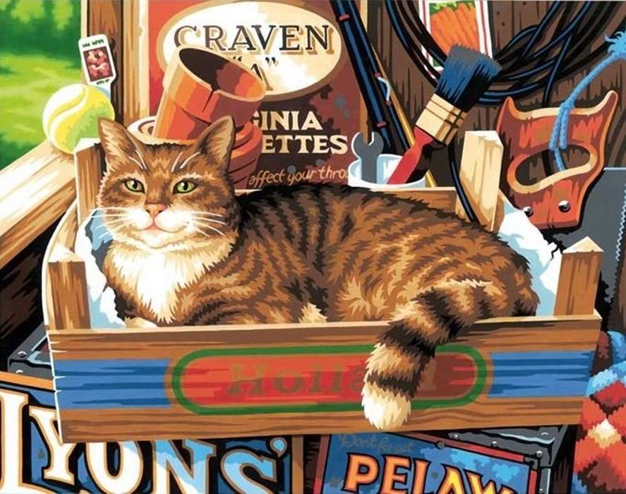 gatto in scatola puzzle online