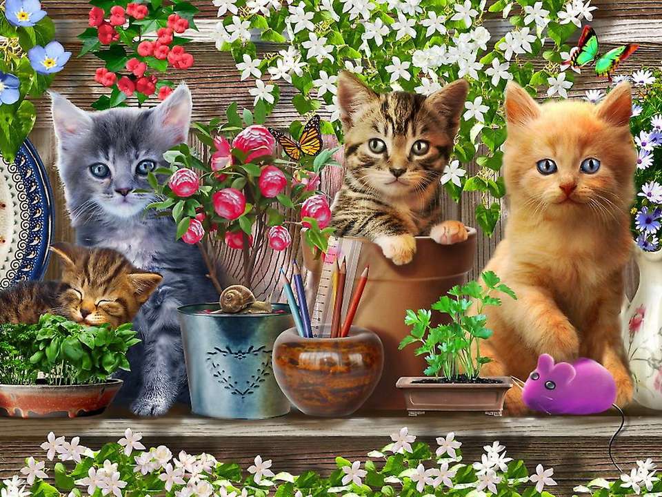 Tři koťata skládačky online