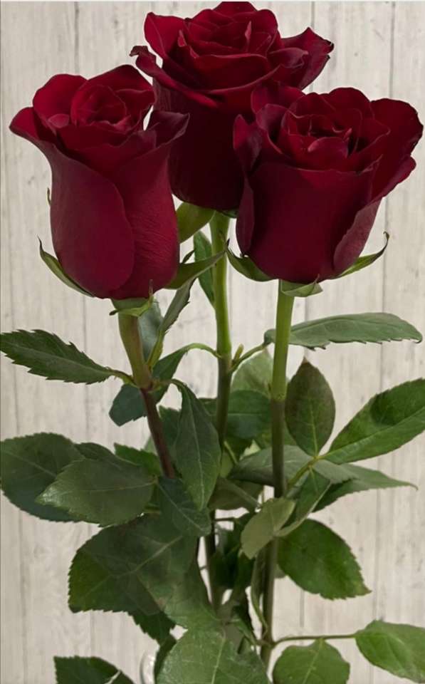 Vörös rózsa kirakós online