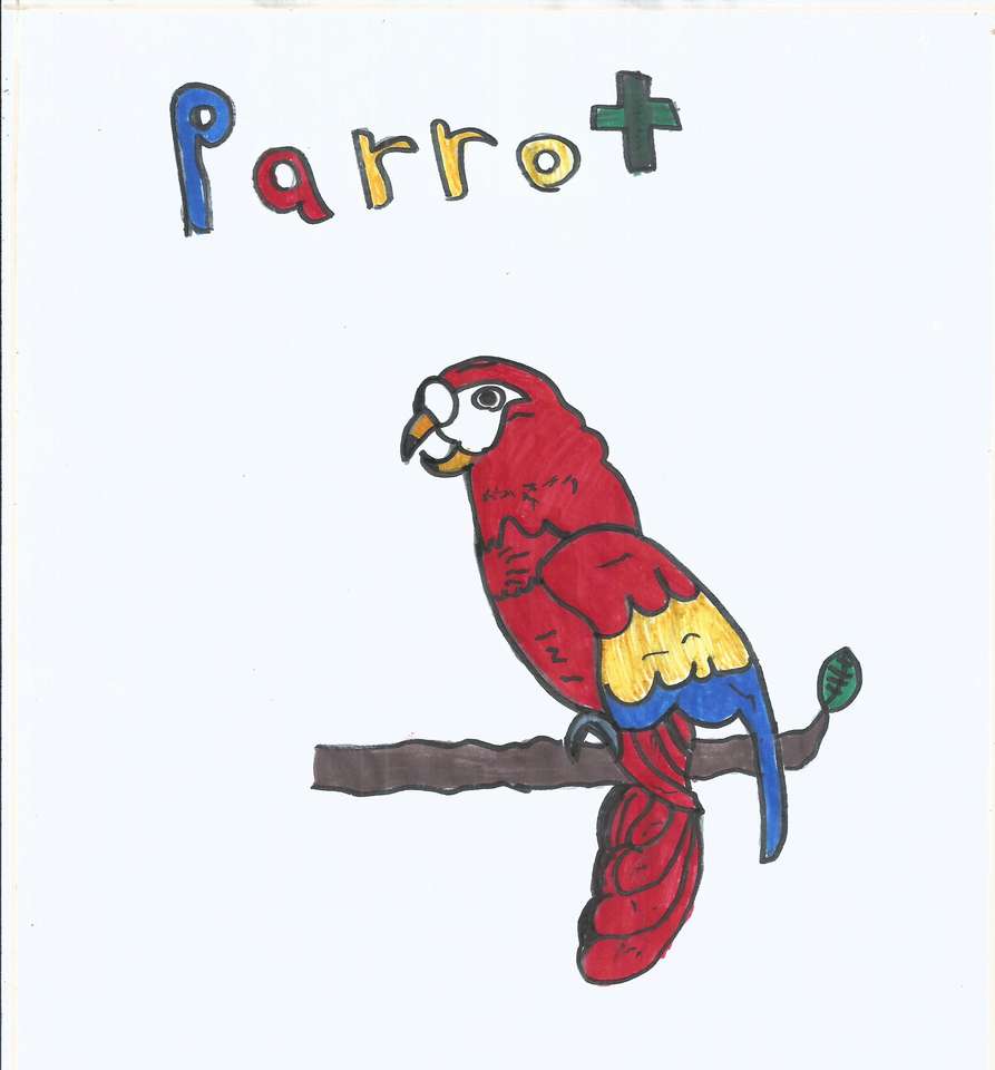 Papagaio Papagaio quebra-cabeças online