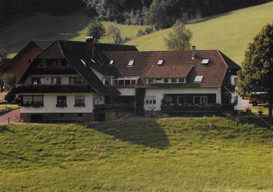 Schwarzwald gård Pussel online