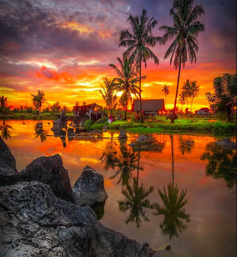 Solnedgång, palmer, bukt, fantastisk utsikt Pussel online