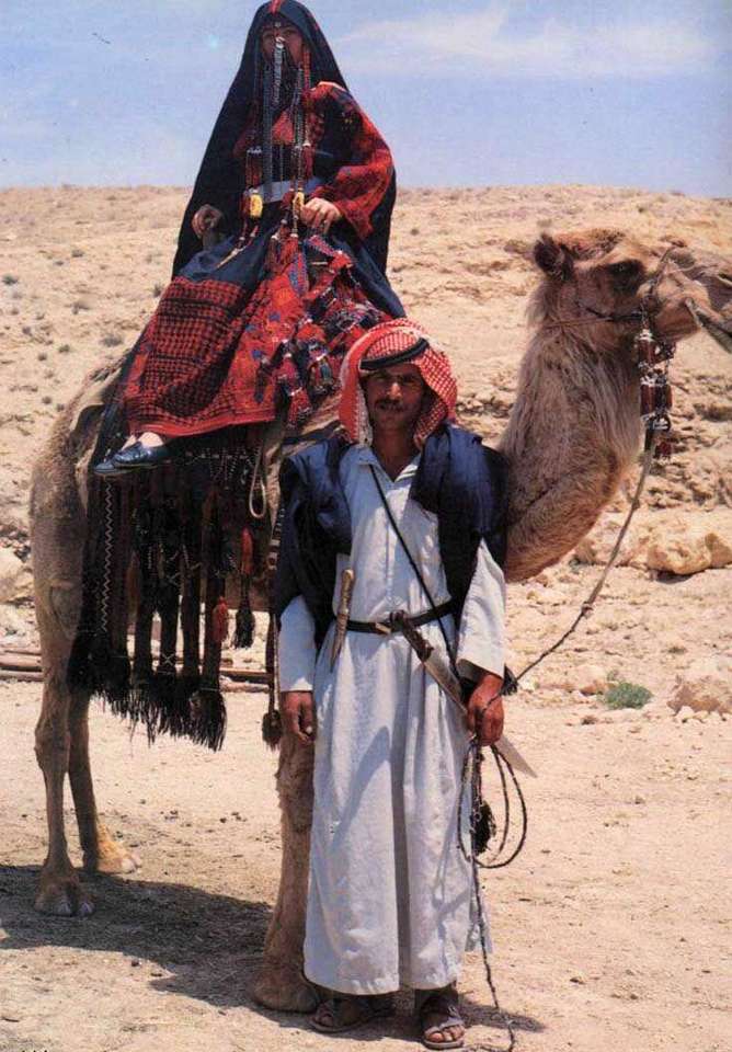 Камила в пустинята на арабските емирства онлайн пъзел