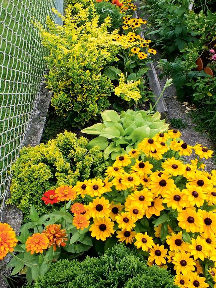 Цветя в градината онлайн пъзел