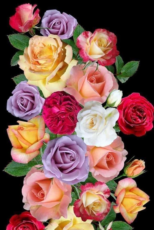 A bouquet of roses online puzzle