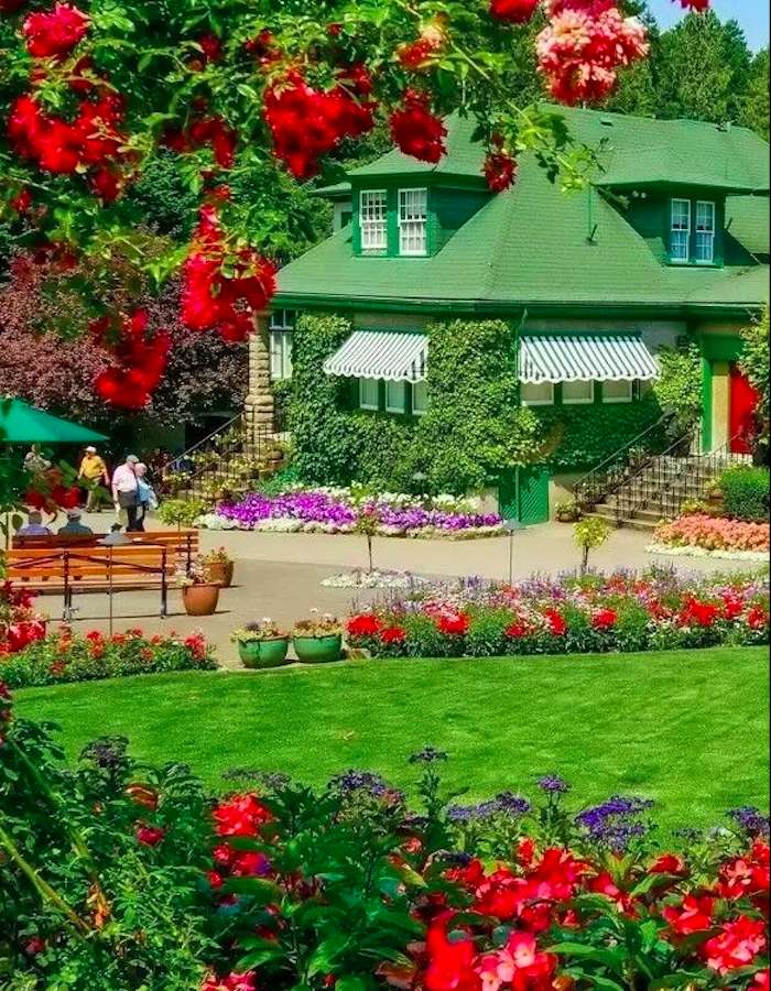 Casa verde entre flores rojas, un milagro rompecabezas en línea