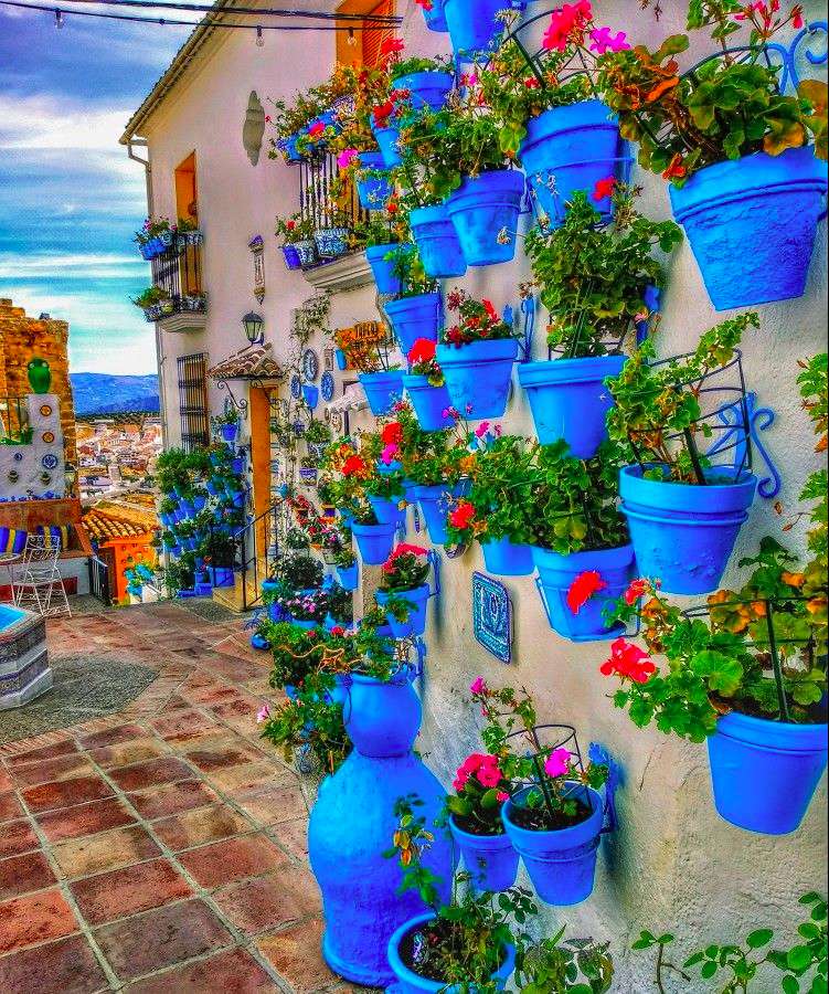 Mur floral de pots de fleurs bleus puzzle en ligne