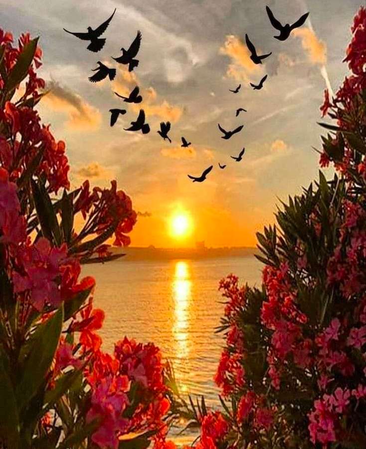 Fåglar, solnedgång och lila blommor, vilken syn Pussel online