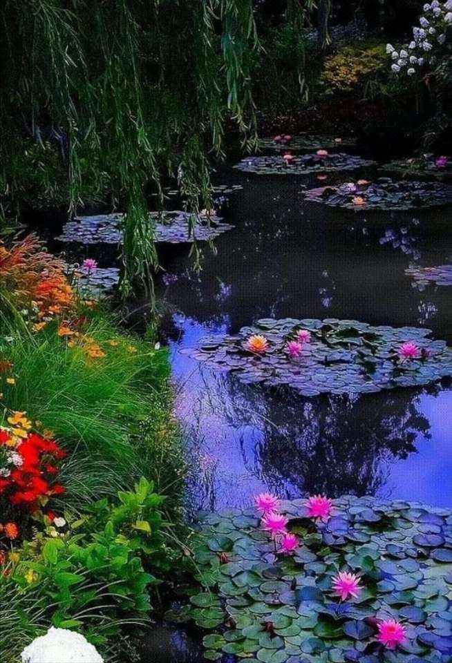 езерце с лилии онлайн пъзел