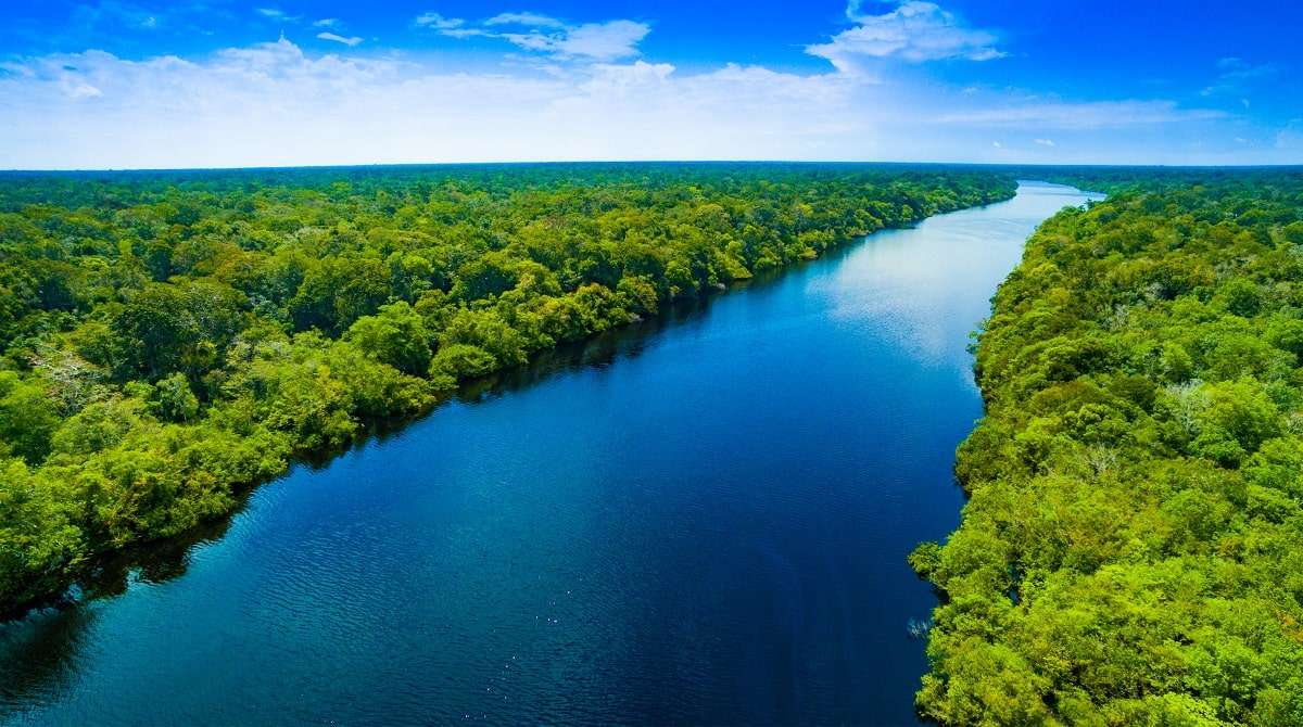 Amazonská řeka online puzzle
