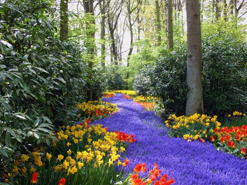 Пролетни цветя в парка онлайн пъзел